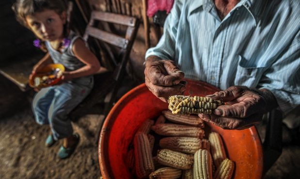 seguridad alimentaria en Nicaragua, seguridad alimentaria, Nicaragua, sector agropecuario de Nicaragua