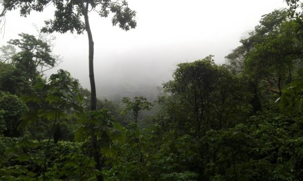 Programa Agua Neutralidad de Grupo CCN llega a su quinto año consecutivo