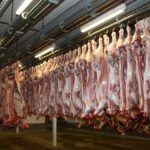 Matar animales para consumirlos es un acto de crueldad