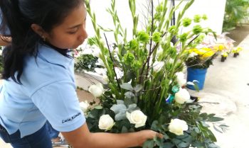 Lucía Alemán: la artista de las flores que quiere ser un cactus