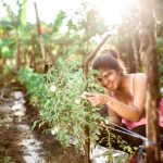 Programa Nutriendo el Futuro busca reducir el hambre en comunidades pobres